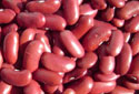 Red Kidney Beans(Rajma )